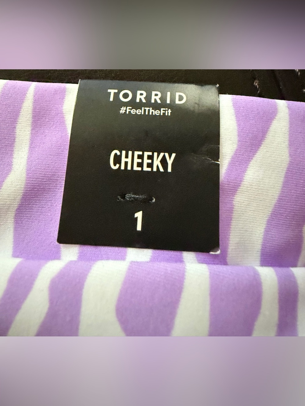 NWT Torrid rip tide stripe whisteria 2 pc bathing suit. Size 1 = 14/16 (1X) - Picture 5 of 11